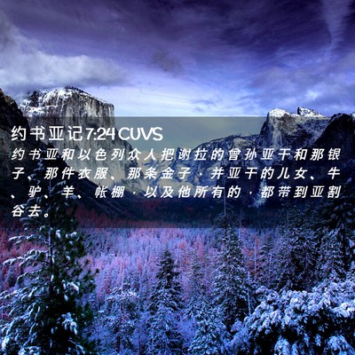 Picture 02 - 约 书 亚 记 7:24 CUVS - 约 书 亚 和 以 色 列 众 人 把 谢 拉 - Bible Verse Picture