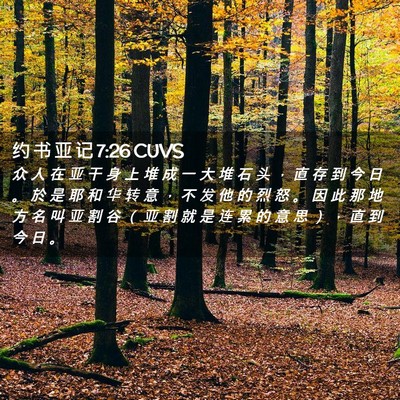 Picture 02 - 约 书 亚 记 7:26 CUVS - 众 人 在 亚 干 身 上 堆 成 一 大 堆 - Bible Verse Picture
