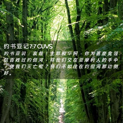 Picture 02 - 约 书 亚 记 7:7 CUVS - 约 书 亚 说 : 哀 哉 ! 主 耶 和 华 - Bible Verse Picture