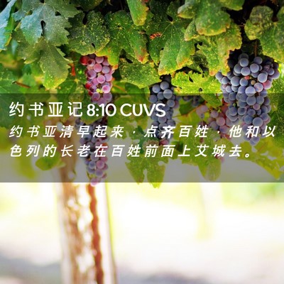 Picture 02 - 约 书 亚 记 8:10 CUVS - 约 书 亚 清 早 起 来 ， 点 齐 百 姓 - Bible Verse Picture