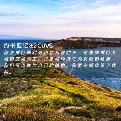 Picture 02 - 约 书 亚 记 8:2 CUVS - 你 怎 样 待 耶 利 哥 和 耶 利 哥 的 - Bible Verse Picture