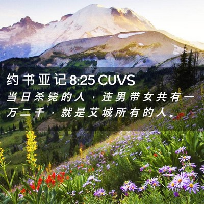 Picture 02 - 约 书 亚 记 8:25 CUVS - 当 日 杀 毙 的 人 ， 连 男 带 女 共 - Bible Verse Picture