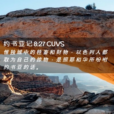 Picture 02 - 约 书 亚 记 8:27 CUVS - 惟 独 城 中 的 牲 畜 和 财 物 ， 以 - Bible Verse Picture