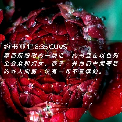 Picture 02 - 约 书 亚 记 8:35 CUVS - 摩 西 所 吩 咐 的 一 切 话 ， 约 书 - Bible Verse Picture