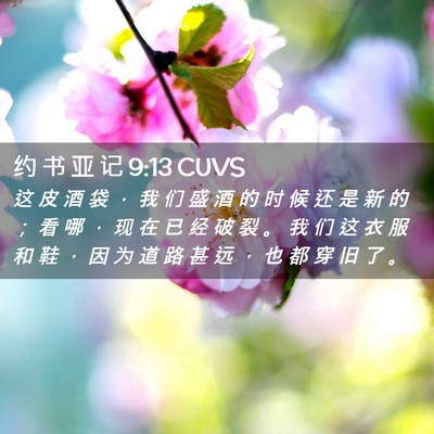Picture 02 - 约 书 亚 记 9:13 CUVS - 这 皮 酒 袋 ， 我 们 盛 酒 的 时 候 - Bible Verse Picture