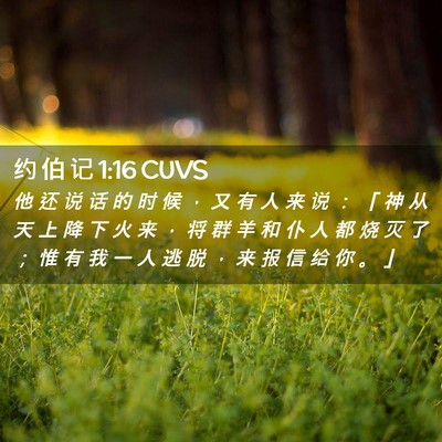 Picture 02 - 约 伯 记 1:16 CUVS - 他 还 说 话 的 时 候 ， 又 有 人 来 - Bible Verse Picture