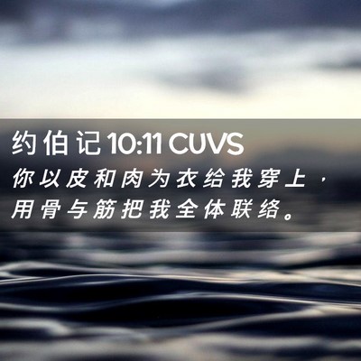 Picture 02 - 约 伯 记 10:11 CUVS - 你 以 皮 和 肉 为 衣 给 我 穿 上 ， - Bible Verse Picture