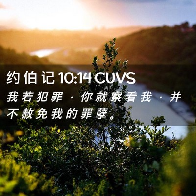Picture 02 - 约 伯 记 10:14 CUVS - 我 若 犯 罪 ， 你 就 察 看 我 ， 并 - Bible Verse Picture
