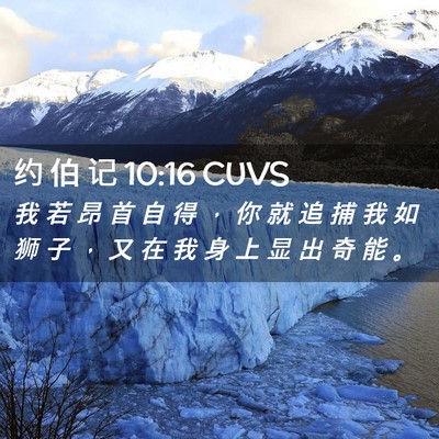 Picture 02 - 约 伯 记 10:16 CUVS - 我 若 昂 首 自 得 ， 你 就 追 捕 我 - Bible Verse Picture