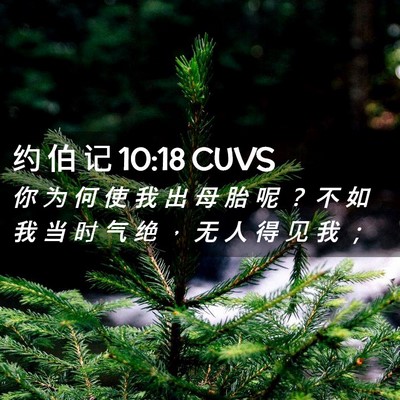 Picture 02 - 约 伯 记 10:18 CUVS - 你 为 何 使 我 出 母 胎 呢 ？ 不 如 - Bible Verse Picture