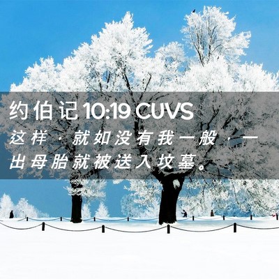 Picture 02 - 约 伯 记 10:19 CUVS - 这 样 ， 就 如 没 有 我 一 般 ， 一 - Bible Verse Picture