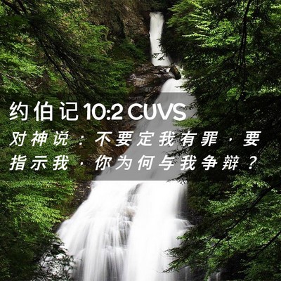 Picture 02 - 约 伯 记 10:2 CUVS - 对 神 说 ： 不 要 定 我 有 罪 ， 要 - Bible Verse Picture
