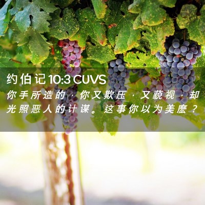Picture 02 - 约 伯 记 10:3 CUVS - 你 手 所 造 的 ， 你 又 欺 压 ， 又 - Bible Verse Picture