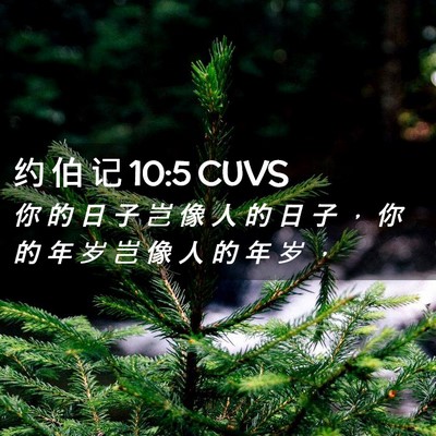 Picture 02 - 约 伯 记 10:5 CUVS - 你 的 日 子 岂 像 人 的 日 子 ， 你 - Bible Verse Picture
