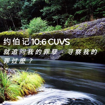 Picture 02 - 约 伯 记 10:6 CUVS - 就 追 问 我 的 罪 孽 ， 寻 察 我 的 - Bible Verse Picture