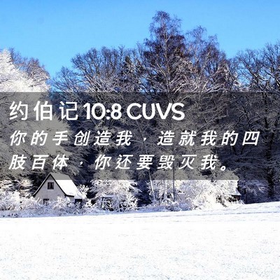 Picture 02 - 约 伯 记 10:8 CUVS - 你 的 手 创 造 我 ， 造 就 我 的 四 - Bible Verse Picture