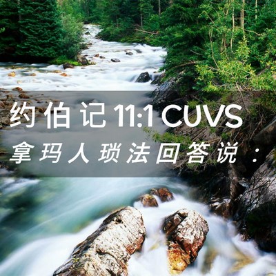 Picture 02 - 约 伯 记 11:1 CUVS - 拿 玛 人 琐 法 回 答 说 - Bible Verse Picture