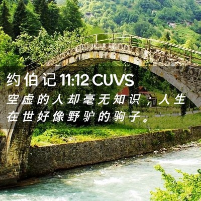 Picture 02 - 约 伯 记 11:12 CUVS - 空 虚 的 人 却 毫 无 知 识 ； 人 生 - Bible Verse Picture
