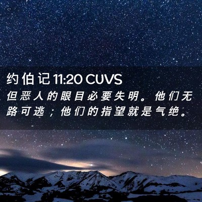 Picture 02 - 约 伯 记 11:20 CUVS - 但 恶 人 的 眼 目 必 要 失 明 。 他 - Bible Verse Picture