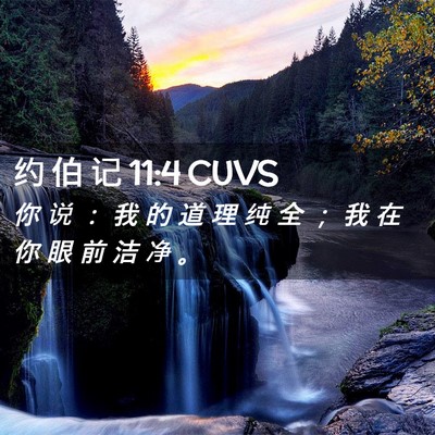 Picture 02 - 约 伯 记 11:4 CUVS - 你 说 ： 我 的 道 理 纯 全 ； 我 在 - Bible Verse Picture