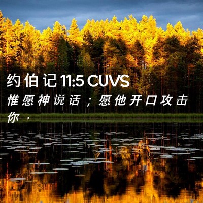 Picture 02 - 约 伯 记 11:5 CUVS - 惟 愿 神 说 话 ； 愿 他 开 口 攻 击 - Bible Verse Picture