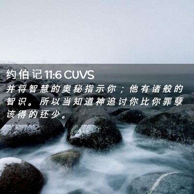 Picture 02 - 约 伯 记 11:6 CUVS - 并 将 智 慧 的 奥 秘 指 示 你 ； 他 - Bible Verse Picture