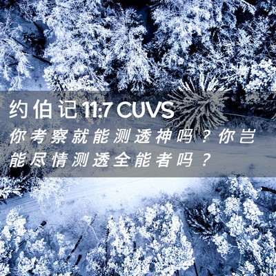 Picture 02 - 约 伯 记 11:7 CUVS - 你 考 察 就 能 测 透 神 吗 ？ 你 岂 - Bible Verse Picture