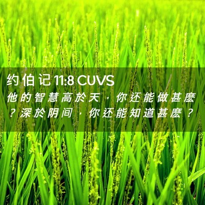 Picture 02 - 约 伯 记 11:8 CUVS - 他 的 智 慧 高 於 天 ， 你 还 能 做 - Bible Verse Picture