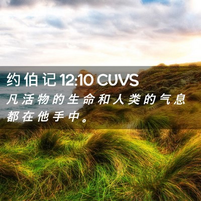 Picture 02 - 约 伯 记 12:10 CUVS - 凡 活 物 的 生 命 和 人 类 的 气 息 - Bible Verse Picture