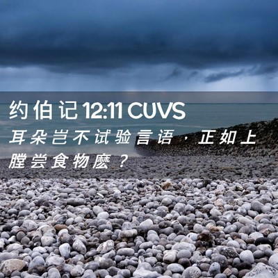 Picture 02 - 约 伯 记 12:11 CUVS - 耳 朵 岂 不 试 验 言 语 ， 正 如 上 - Bible Verse Picture