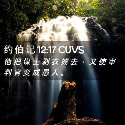 Picture 02 - 约 伯 记 12:17 CUVS - 他 把 谋 士 剥 衣 掳 去 ， 又 使 审 - Bible Verse Picture
