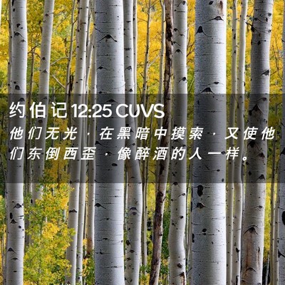 Picture 02 - 约 伯 记 12:25 CUVS - 他 们 无 光 ， 在 黑 暗 中 摸 索 ， - Bible Verse Picture