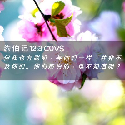 Picture 02 - 约 伯 记 12:3 CUVS - 但 我 也 有 聪 明 ， 与 你 们 一 样 - Bible Verse Picture