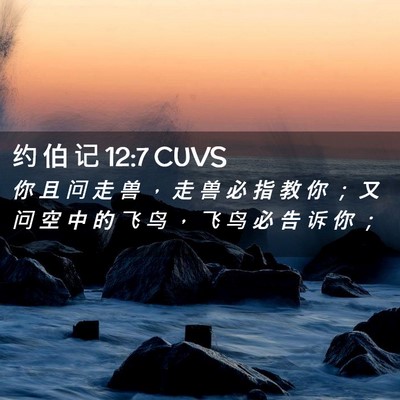 Picture 02 - 约 伯 记 12:7 CUVS - 你 且 问 走 兽 ， 走 兽 必 指 教 你 - Bible Verse Picture