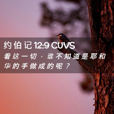Picture 02 - 约 伯 记 12:9 CUVS - 看 这 一 切 ， 谁 不 知 道 是 耶 和 - Bible Verse Picture