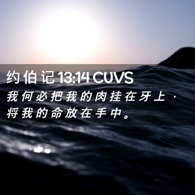 Picture 02 - 约 伯 记 13:14 CUVS - 我 何 必 把 我 的 肉 挂 在 牙 上 ， - Bible Verse Picture