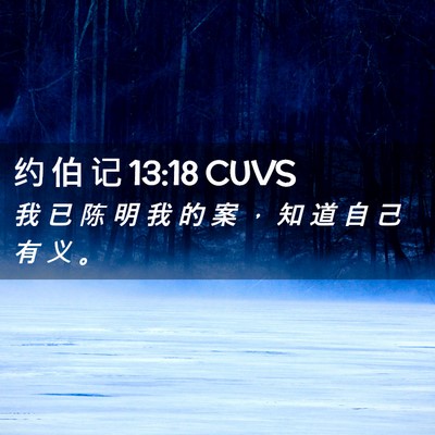 Picture 02 - 约 伯 记 13:18 CUVS - 我 已 陈 明 我 的 案 ， 知 道 自 己 - Bible Verse Picture