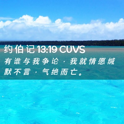 Picture 02 - 约 伯 记 13:19 CUVS - 有 谁 与 我 争 论 ， 我 就 情 愿 缄 - Bible Verse Picture