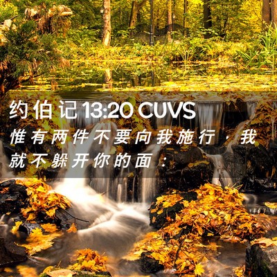 Picture 02 - 约 伯 记 13:20 CUVS - 惟 有 两 件 不 要 向 我 施 行 ， 我 - Bible Verse Picture
