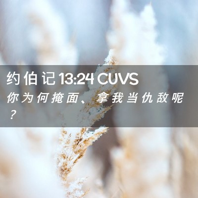 Picture 02 - 约 伯 记 13:24 CUVS - 你 为 何 掩 面 、 拿 我 当 仇 敌 呢 - Bible Verse Picture