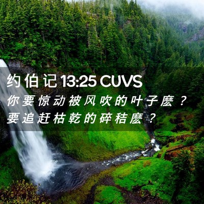 Picture 02 - 约 伯 记 13:25 CUVS - 你 要 惊 动 被 风 吹 的 叶 子 麽 ？ - Bible Verse Picture