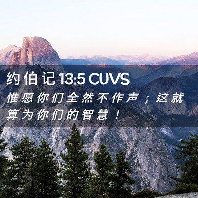 Picture 02 - 约 伯 记 13:5 CUVS - 惟 愿 你 们 全 然 不 作 声 ； 这 就 - Bible Verse Picture
