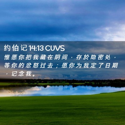 Picture 02 - 约 伯 记 14:13 CUVS - 惟 愿 你 把 我 藏 在 阴 间 ， 存 於 - Bible Verse Picture