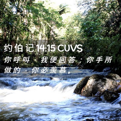Picture 02 - 约 伯 记 14:15 CUVS - 你 呼 叫 ， 我 便 回 答 ； 你 手 所 - Bible Verse Picture