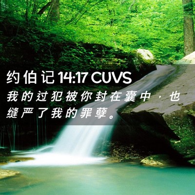 Picture 02 - 约 伯 记 14:17 CUVS - 我 的 过 犯 被 你 封 在 囊 中 ， 也 - Bible Verse Picture
