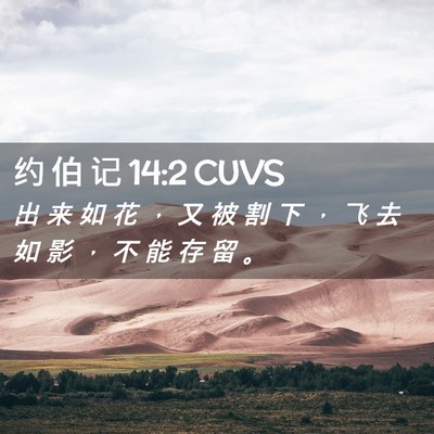 Picture 02 - 约 伯 记 14:2 CUVS - 出 来 如 花 ， 又 被 割 下 ， 飞 去 - Bible Verse Picture