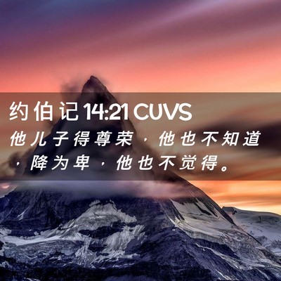Picture 02 - 约 伯 记 14:21 CUVS - 他 儿 子 得 尊 荣 ， 他 也 不 知 道 - Bible Verse Picture