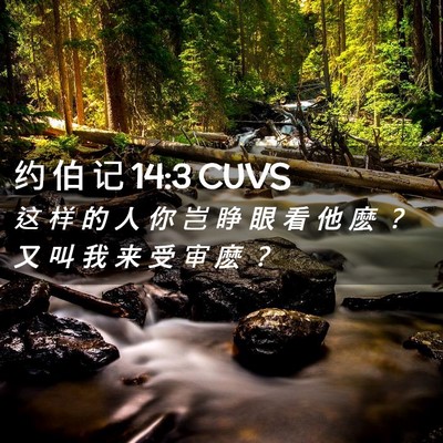 Picture 02 - 约 伯 记 14:3 CUVS - 这 样 的 人 你 岂 睁 眼 看 他 麽 ？ - Bible Verse Picture