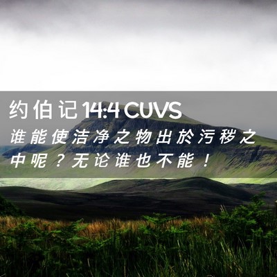 Picture 02 - 约 伯 记 14:4 CUVS - 谁 能 使 洁 净 之 物 出 於 污 秽 之 - Bible Verse Picture