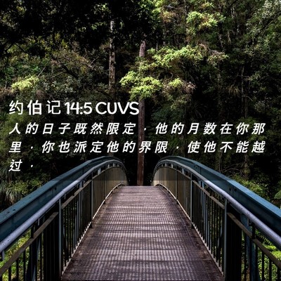 Picture 02 - 约 伯 记 14:5 CUVS - 人 的 日 子 既 然 限 定 ， 他 的 月 - Bible Verse Picture